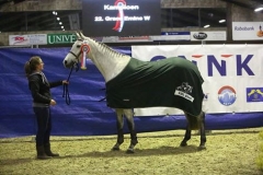 KAMPIOEN bij de 4 t/m 7 jarige springpaarden