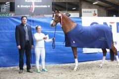 KAMPIOEN van de 4 t/m 7-jarige dressuurpaarden
