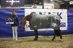 KAMPIOEN van de 3-jarige springpaarden