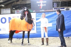 KAMPIOEN bij de 3 jarige dressuurpaarden