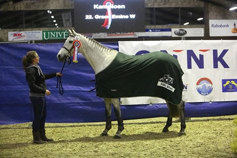 KAMPIOEN bij de 4 t/m 7 jarige springpaarden
